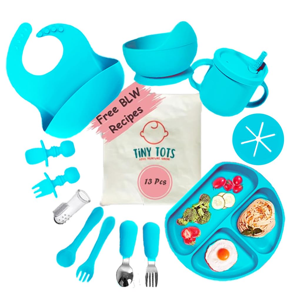 TinyTots Silicone Baby Feeding Set 13 pcs with BLW Recipes. Baby Plates and Bowls Set Baby & Toddler Spoons Set Sippy Cup & Lid Silicone Bib Baby Toothbrush (6+ Months)